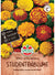 SPERLI SPERLI's Studentenblume "Sparky Mischung" - Bunt - winterhart | Bild 1
