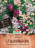 SPERLI Staudenwicke Mischung - Bunt - winterhart | Bild 1