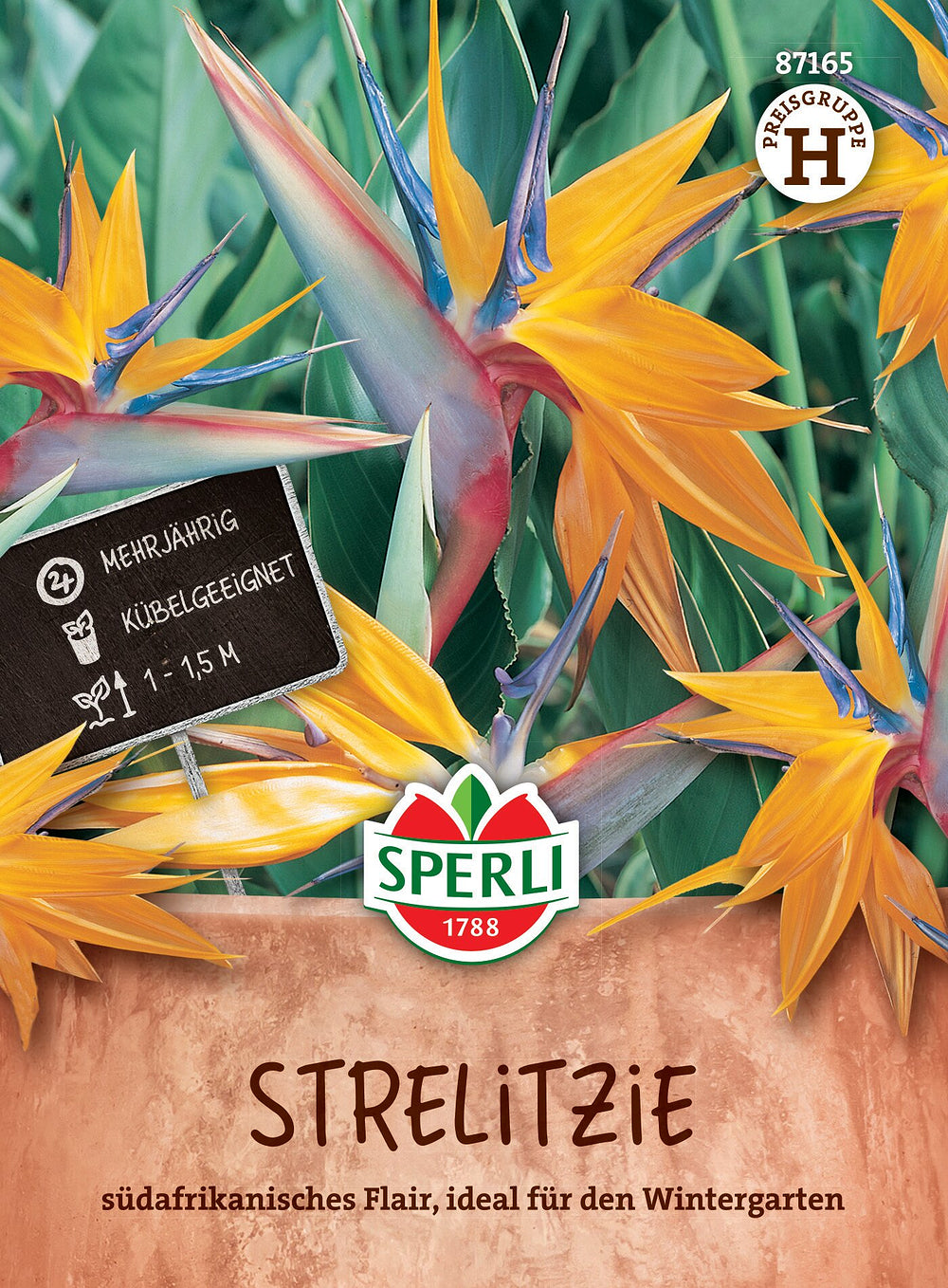 SPERLI Strelitzie - Bunt - winterhart | Bild 1