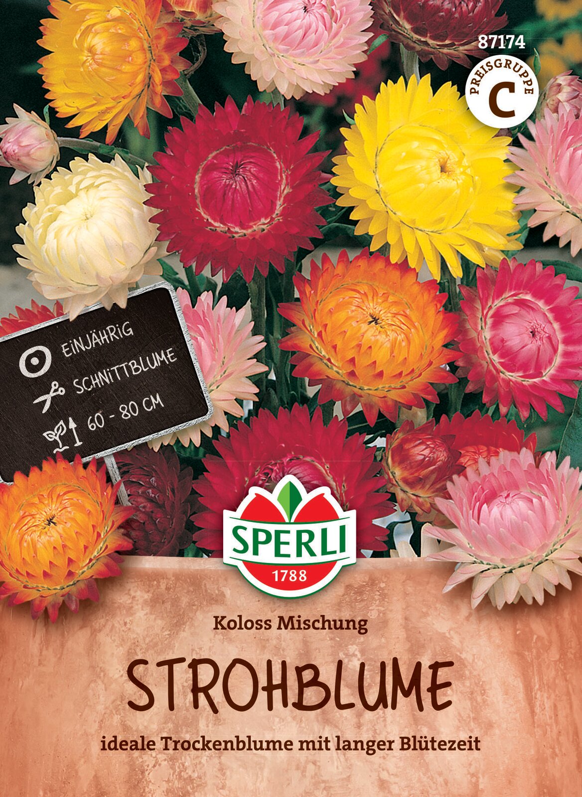 SPERLI Strohblume "Koloss Mischung" - Bunt - winterhart | Bild 1