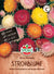 SPERLI Strohblume "Koloss Mischung" - Bunt - winterhart | Bild 1