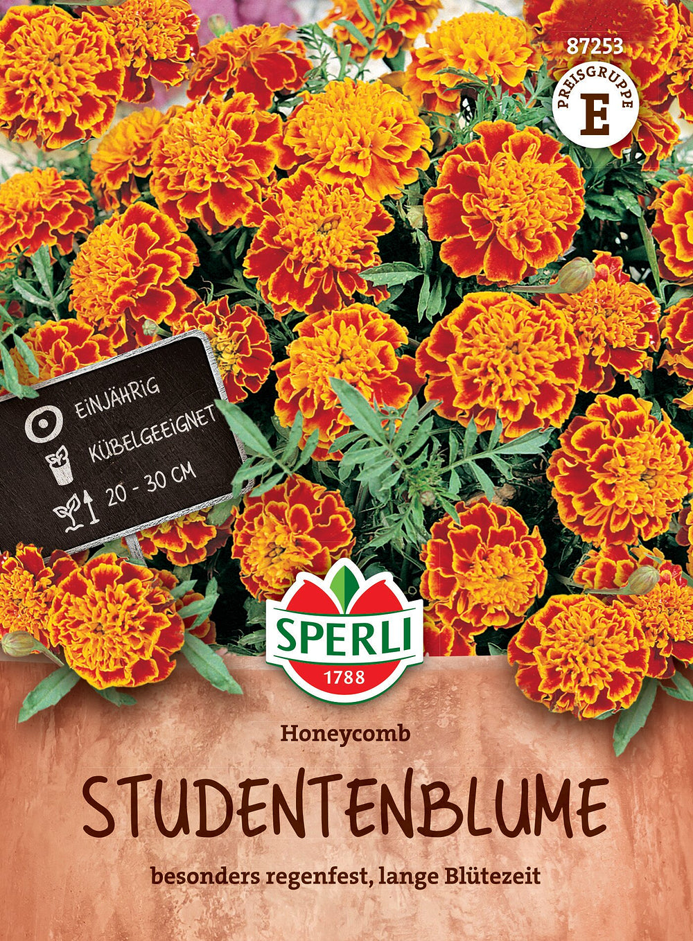 SPERLI Studentenblume 'Honeycomb' - Bunt - winterhart | Bild 1