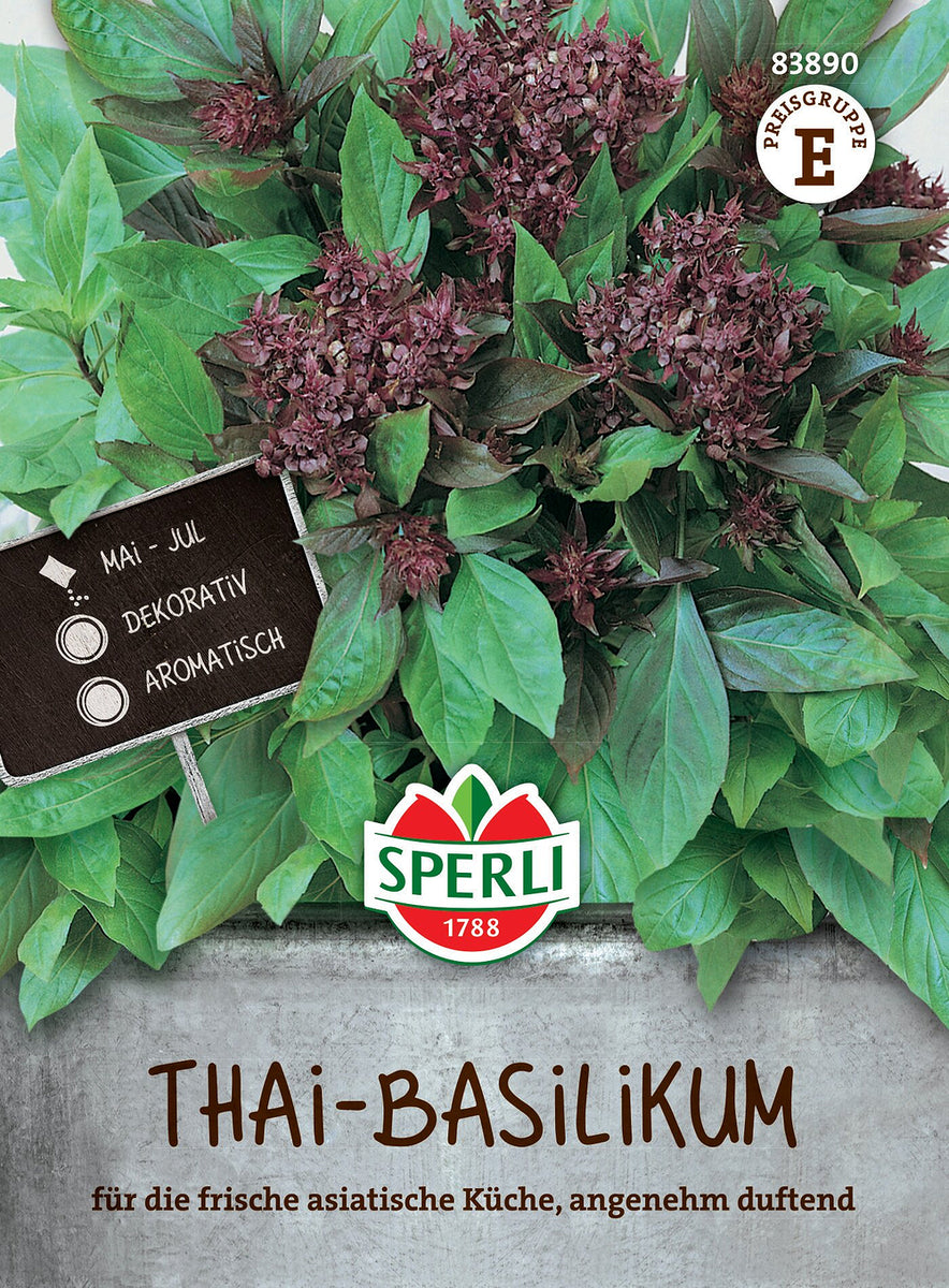 SPERLI Thai-Basilikum - Bunt - winterhart | Bild 1