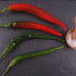 Türkische Peperoni 'Junus' (Capsicum annuum 'Junus ') - Rot | Bild 2