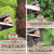 SPERLI Samen-Set "Frische Salatvielfalt - Easy Gardening"