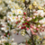 Zierapfel 'Tina' (Malus 'Tina') - Weiß - sommergrün - winterhart | Bild 1